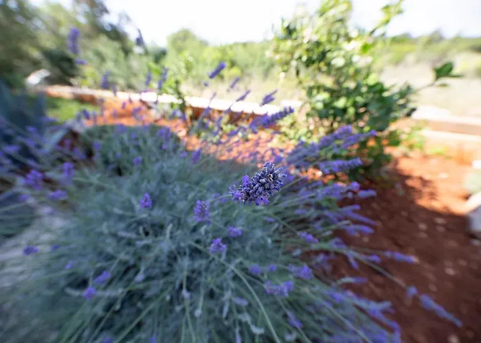 Апартаменты Tamaris *